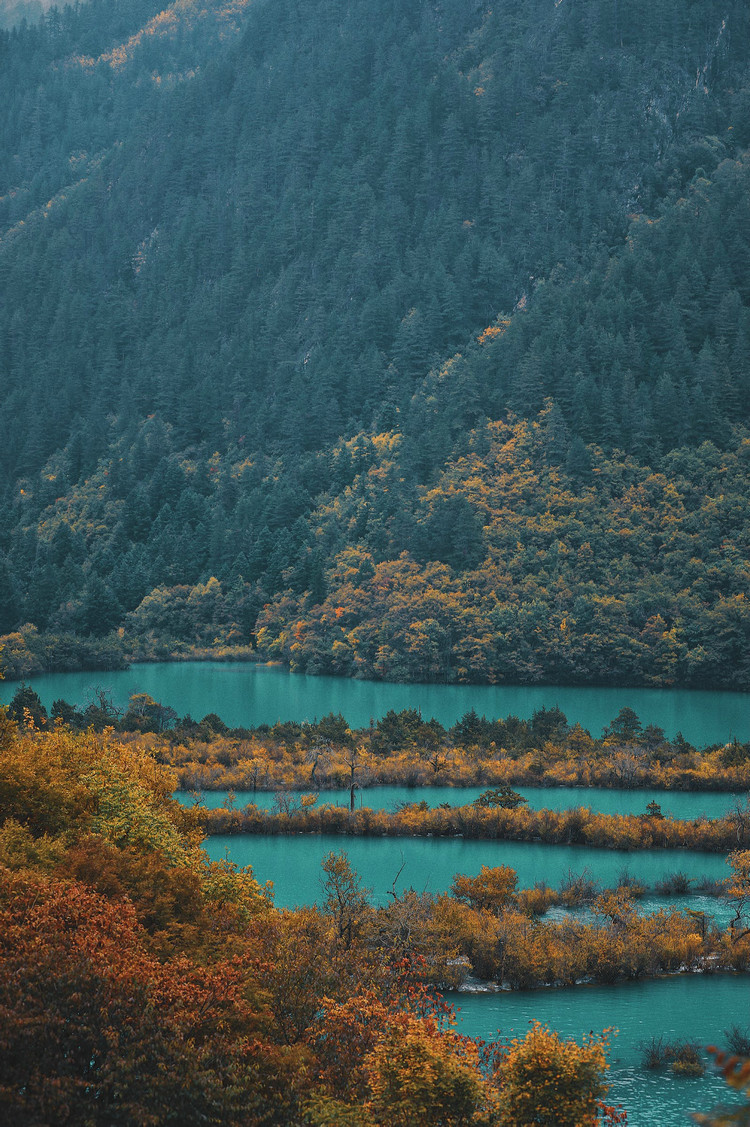 在線溶氧檢測(cè)儀對(duì)水產(chǎn)養(yǎng)殖業(yè)發(fā)展有什么影響 在線溶氧檢測(cè)儀對(duì)水產(chǎn)養(yǎng)殖業(yè)發(fā)展有什么影響